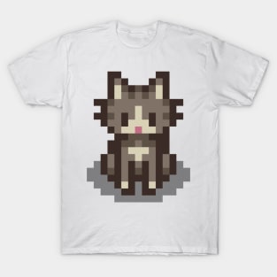 Gray Cat T-Shirt